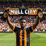 Cachecol Hull City