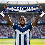 Cachecol Bordeaux