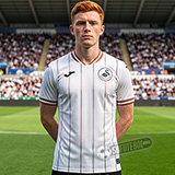Camisa Swansea City - Modelo I
